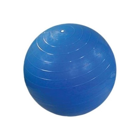 Fabrication Enterprises Fabrication Enterprises 30-1789 Cando Ball for Small Ball Chair - Blue 30-1789